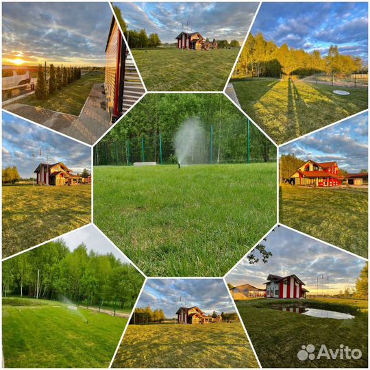 Рулонный газон