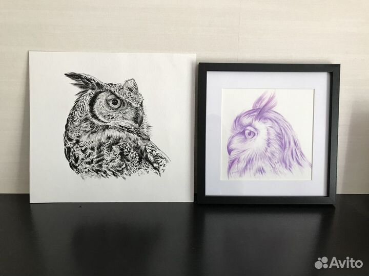 Рисунок сова