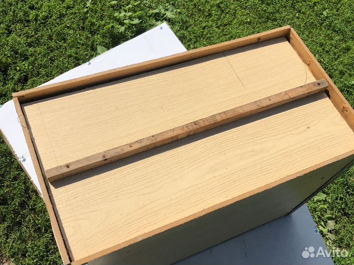 Ловушки для роев