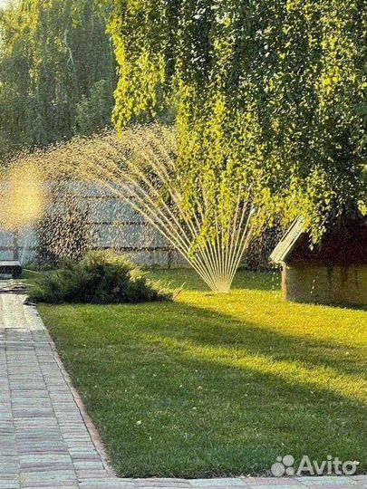 Укладка газона стандарт