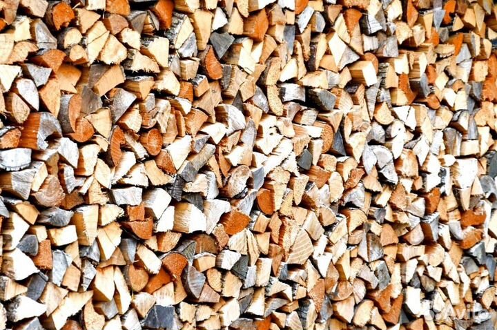 Дрова свежие