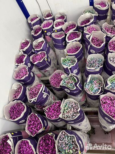 Гивсофила оптом