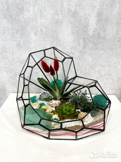 Флорариумы