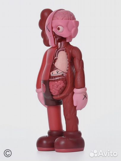 Kaws Bearbrick Anatomy