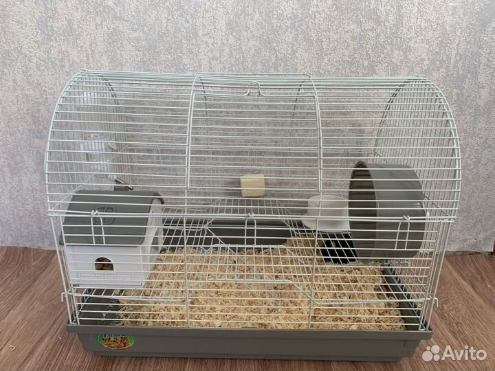 Сирийский хомяк с клеткой