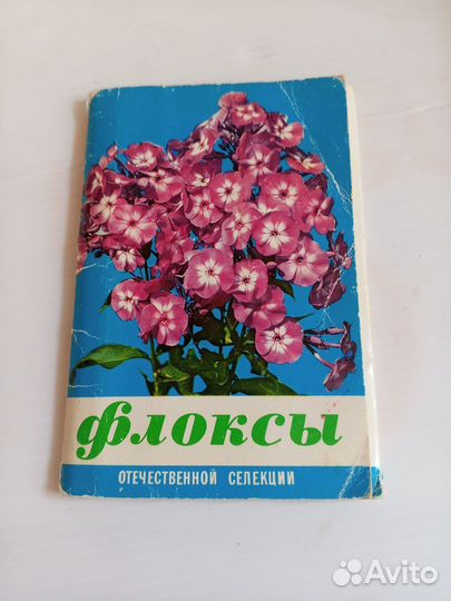 Набор открыток Флоксы