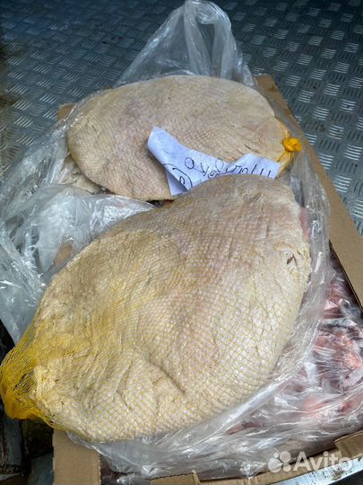 Мясо. Отруба. Туши. Ливера. Охл и Зам. Опт