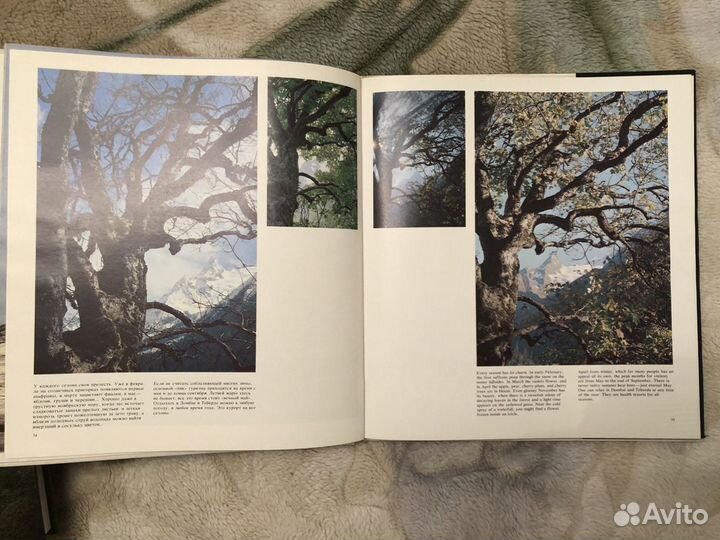 В горах Карачаево-Черкесии