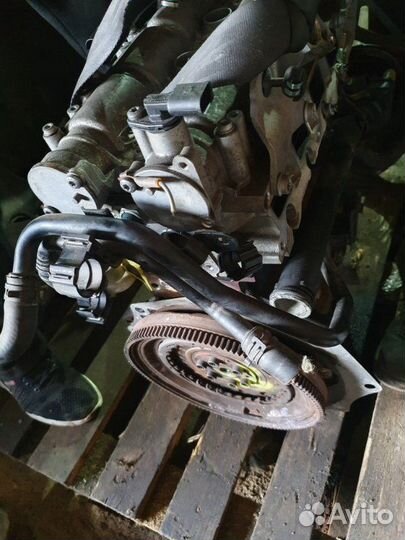 Двигатель Volkswagen Golf 1.4 CAX 2007-2011