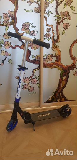 Самокат детский triumf