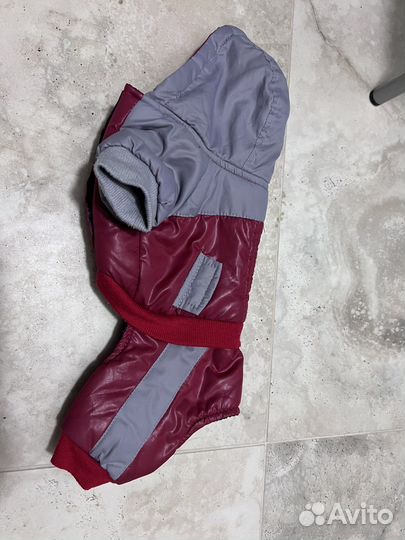 Комбинезон для маленькой собачки