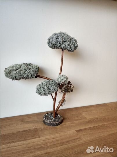 Дерево бонсай декоративное