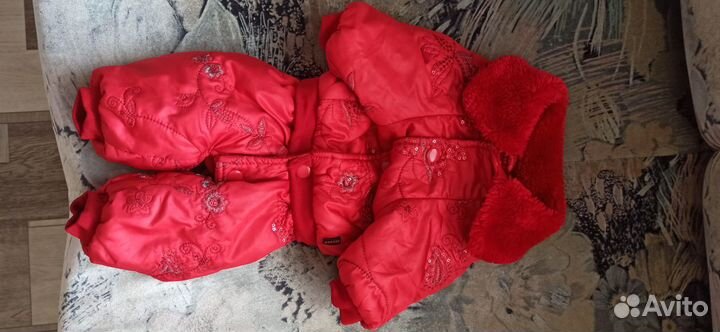 Одежда для собак