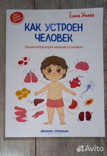 Как устроен человек энциклопедия