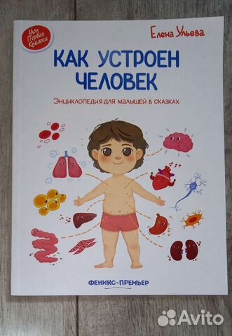 Как устроен человек энциклопедия