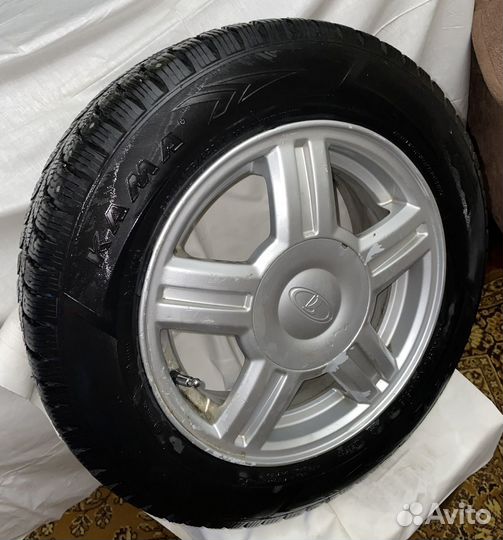 Торусы r14