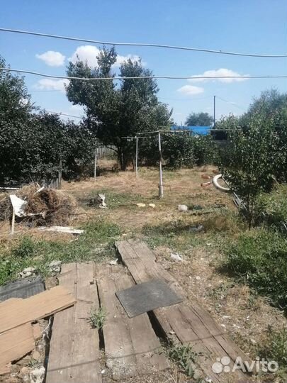 Собака в добрые руки отдам бесплатно