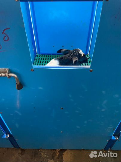 Бокс для сушки телят New farm