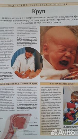 Тело человека Снаружи и внутри