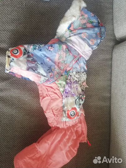 Одежда для собак