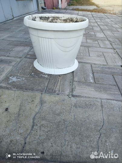 Продам кашпо белого цвета