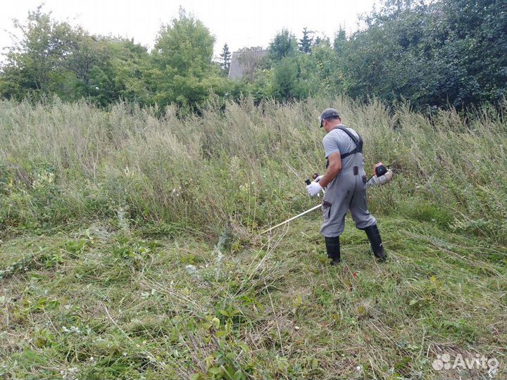 Покос травы, расчистка участков, спил деревьев