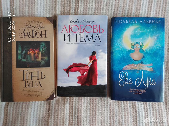 Литература Испании и Латинской Америки (200 кн.)