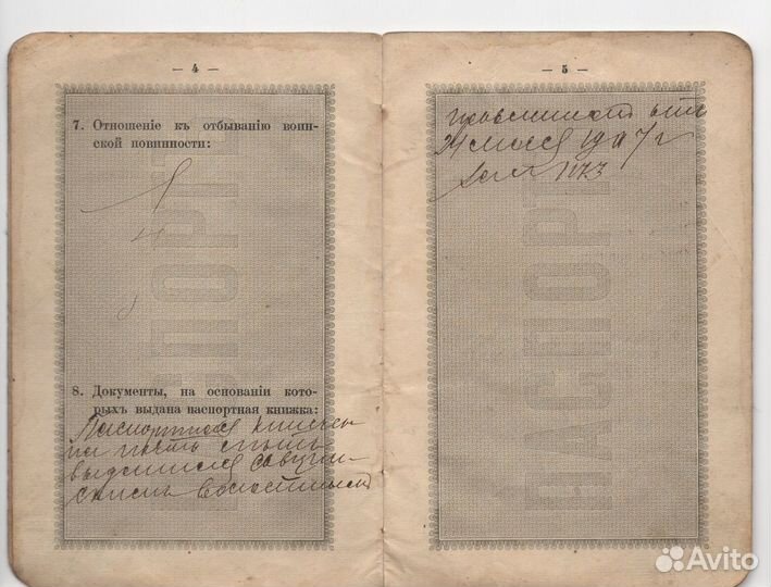 Паспорт 1917 года