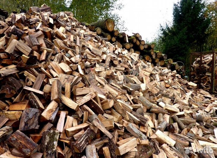 Дрова в баню