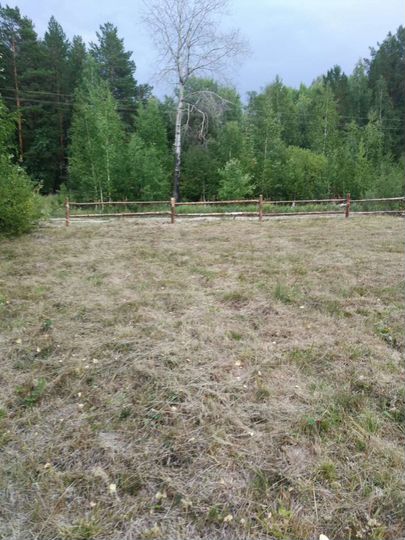 Участок 7,5 сот. (СНТ, ДНП)