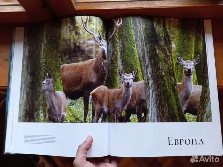 Иллюстрированный атлас 