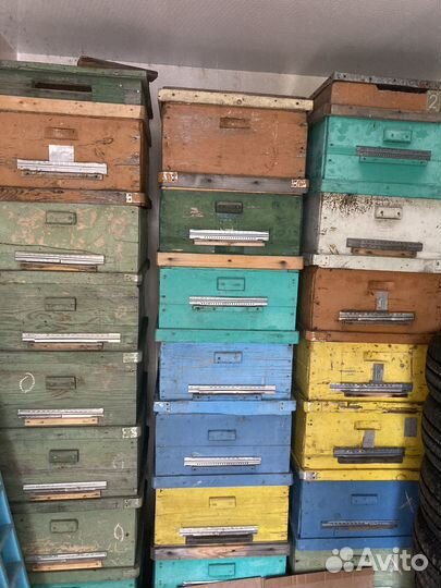 Корпуса, рамки с сушью для пчел