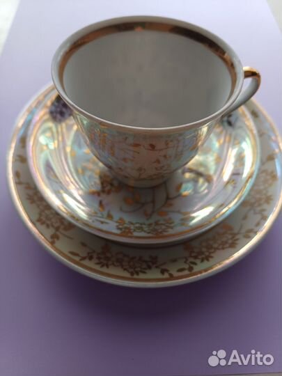 Костяной фарфор Старая Рига