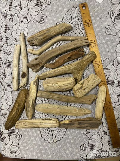 Дрифтвуд морские коряги