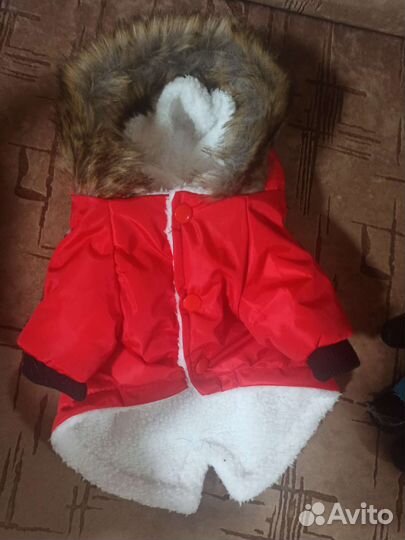 Одежда для маленьких собак