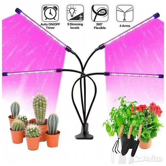 Фитолампа для растений