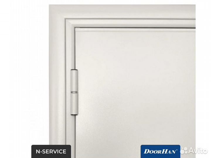 Дверь Техническая DoorHan/880/2050/одност