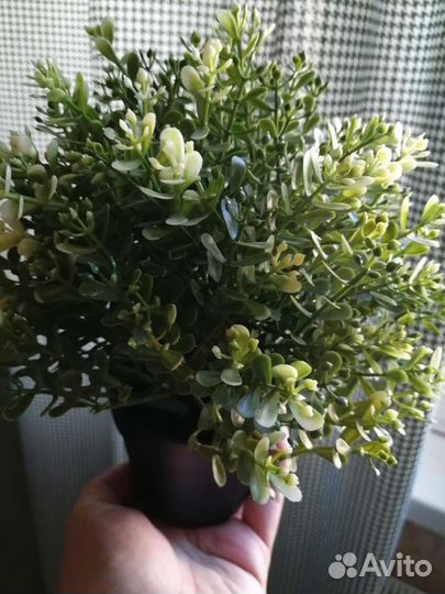 Искусственные цветы Икея Фейка (душица и чабрец)