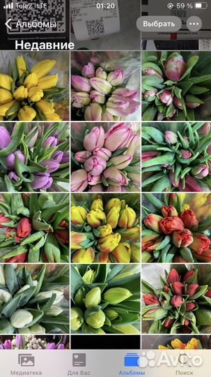 Тюльпаны оптом на 8 марта