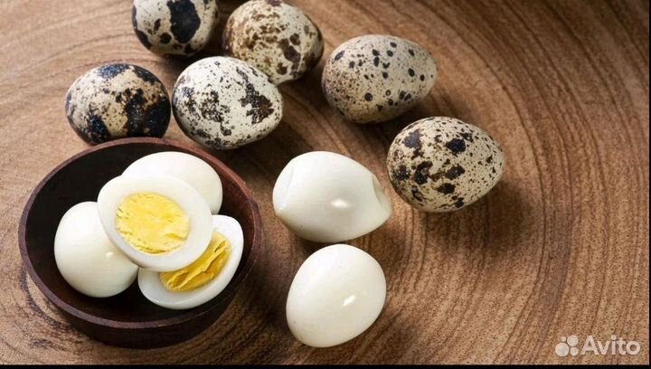Яйцо перепелиное пищевое