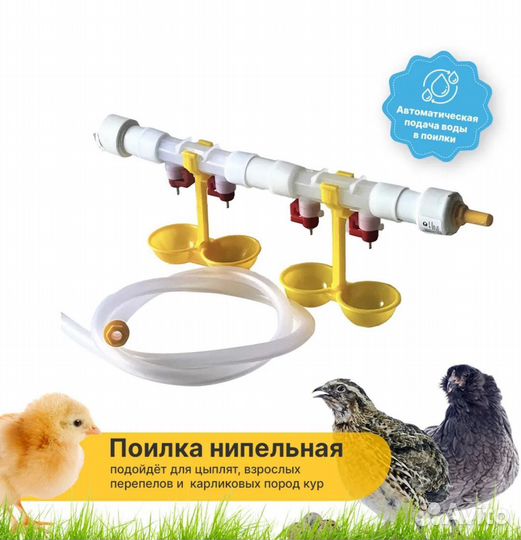 Ниппельная поилка для птицы