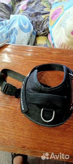 Светящийся ошейник и шлейки