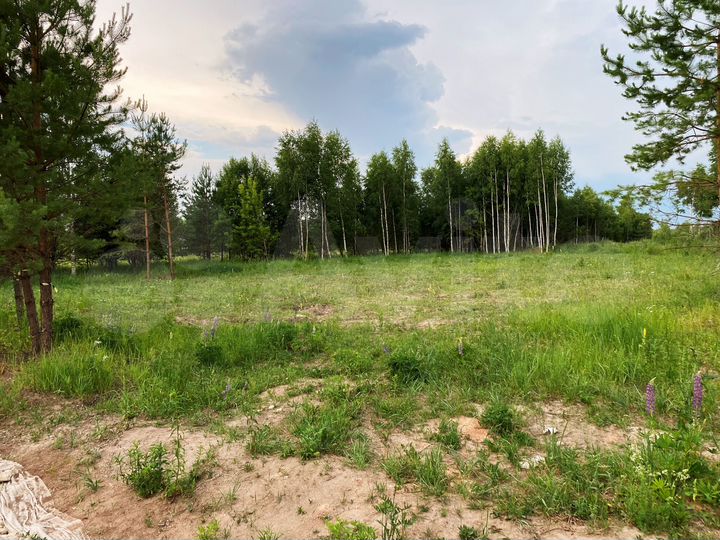 Участок 13,5 сот. (ИЖС)