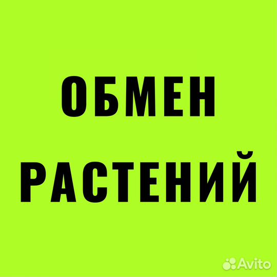 Растения обмен
