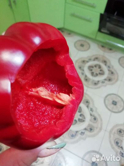 Семена болгарского перца