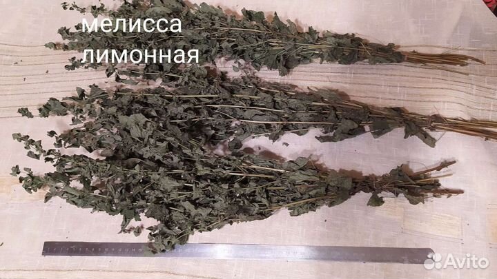 Душица, мелисса, мята