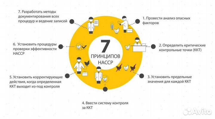 Разработка, внедрение и обеспечение НАССР (Хассп)