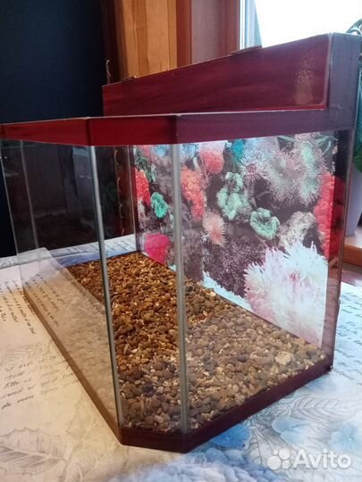 Аквариум для рыбок