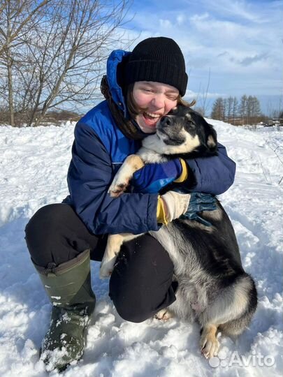 Ласкуша для семьи