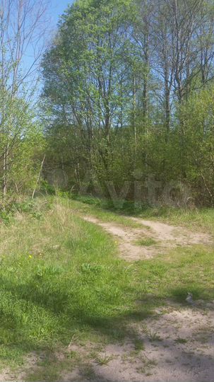 Участок 49 га (СНТ, ДНП)